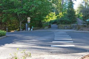 A parking lot path and crosswalk leading to a parking meter labeled "Pay to Park" with beech trees in the background.