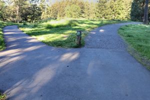 The paved Overlook Trail intersects with a packed gravel section leading to the Overlook Viewpoint.