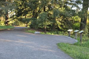 The Overlook Viewpoint with 3 interpretive signs describing the geology of the area set in a widened, packed gravel outcropping near Overlook Trail and the Holly Loop.