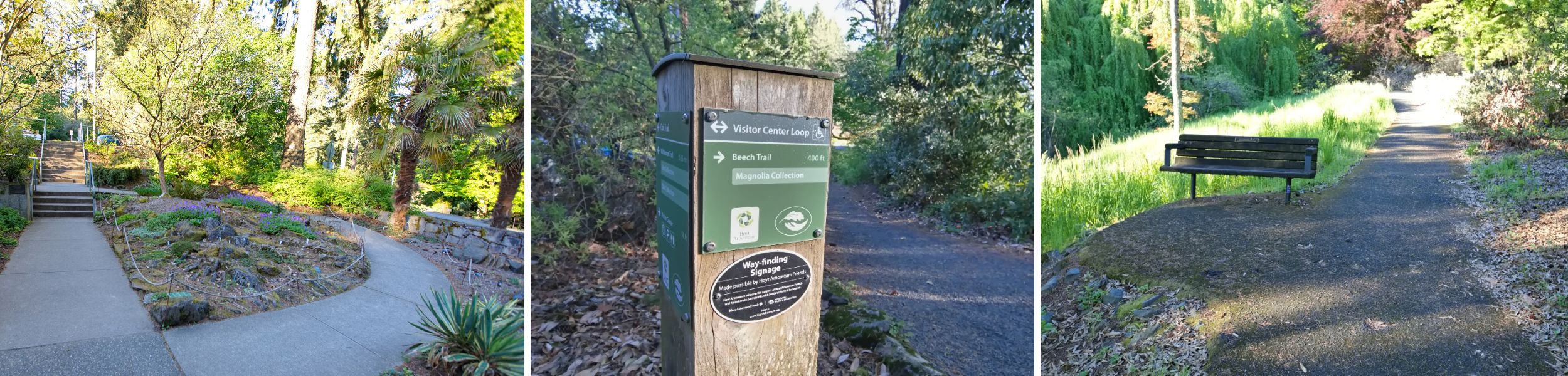 Visitor Center Loop