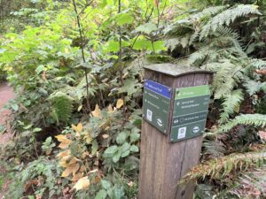 Trail wayfinding sign at the intersection of Fir Trail and Wildwood Trail. Sign points north towards the Redwood Deck, west towards the Wedding Meadow, south towards Bray Blvd.