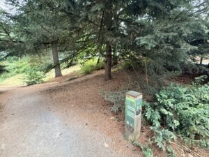 Trail wayfinding sign at an intersection west of the Visitor Center and east of Stevens Pavilion. Signs point east to the Visitor Center, west to Stevens Pavilion, north to the Fir Trail loop, and south along the Fir Trail.