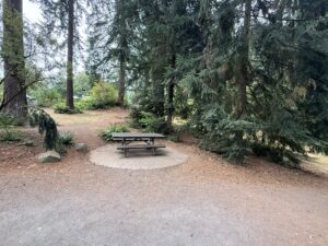 wooden picnic table on a circular concrete foundation.