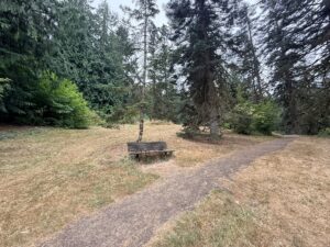 Wooden bench on the south side of Fir Trail.