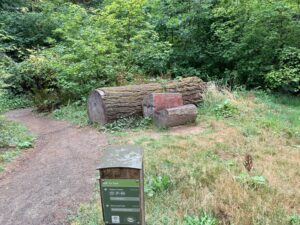trail wayfinding sign at the intersection of Fir Trail and White Pine Trail. Behind the sign is a log bench.