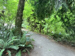 A trail wayfinding sign pointing back in the other direction noting Spruce Trail has ended.