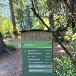 Image of a wayfinding sign pointing to Fir Trail at the beginning of the Fir Trail loop.