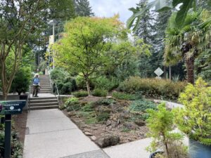 A concrete courtyard with stairs and a paved ramp pathway down from the parking area. There are plantings and trees in areas surrounding the path including an alpine rock garden that is roped off.