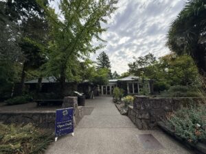 A view of the visitor cetner courtyard facing the front doors of the building from the road via a wide paved path with a large ginkgo tree to the left.