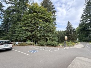 An accessible parking space with an access aisle on the right. There is a sidewalk path starting at the access aisle leading to a crosswalk on Fairview Blvd at the entrance to the Visitor Center Courtyard.