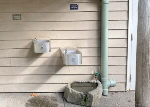 2 drinking fountains, the one on the left is higher than the one on the right. To the right of both fountains is a rock dog bowl with a water spout above for filling.