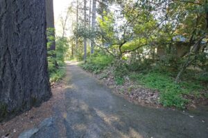 A wide view of the start to the Visitor Center Loop that shows the paved path leading into a shaded area with vegetation around the edges. The paved path shows some cracks from root intrusion, and the Visitor Center building is visible through vegetation on the right side.