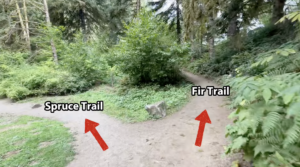 An image of a dirt trail intersection with red arrows pointing to the left labeled Spruce Trail and to the right labeled Fir Trail.