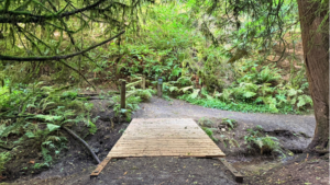 a wooden footbridge without guard rails in new-like condition.