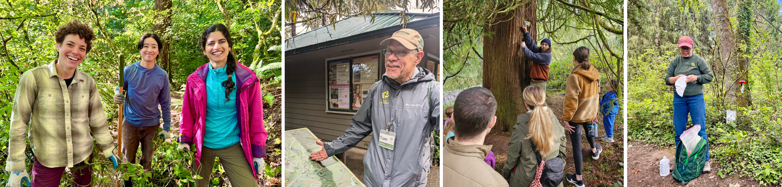 Volunteer at Hoyt Arboretum