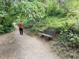 A wooden bench off the dirt trail with dirt surface underneath and space to either side of the bench with low growing vegetation.