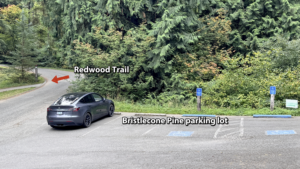 A small parking lot with one standard and 2 ADA spots off a small park road with Redwood Trail marked with a red arrow in the background.