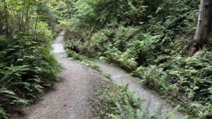 A narrow downsloping dirt trail leads to a wider trail and a wooden footbridge