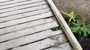 A hole in a wooden plank near the edge of a footbridge.