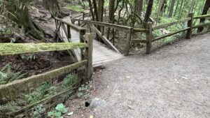 holes in the trail, near a bridge