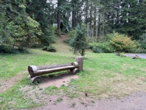 A cut log bench in a grassy area off the dirt trail on the lower part of a hillside.