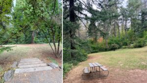 6 stair lead to an open meadow and a picnic table on the north end to the right.