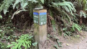trail wayfinding sign at the intersection of Creek Trail and Wildwood Trail, marking the northern end of Creek Trail