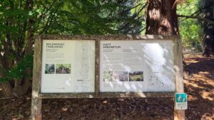 an interpretive sign about Wildwood Trailhead and Hoyt Arboretum-text and images on the sign vary in ability to read in this image. Headers read Wildwood Trail, and Hoyt Arboretum.