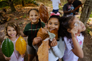 A group of 4 young girls proudly hold up big pointed leaves in brown, yellow, and green. 