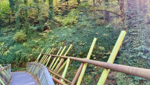 taken from a bridge, this image shows English ivy covering trees and a slope.