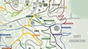 A trail map with a path highlighted in yellow from the parking lot, up the holly loop, to wildwood, across knights blvd, and down stairs to a section of maple trail.
