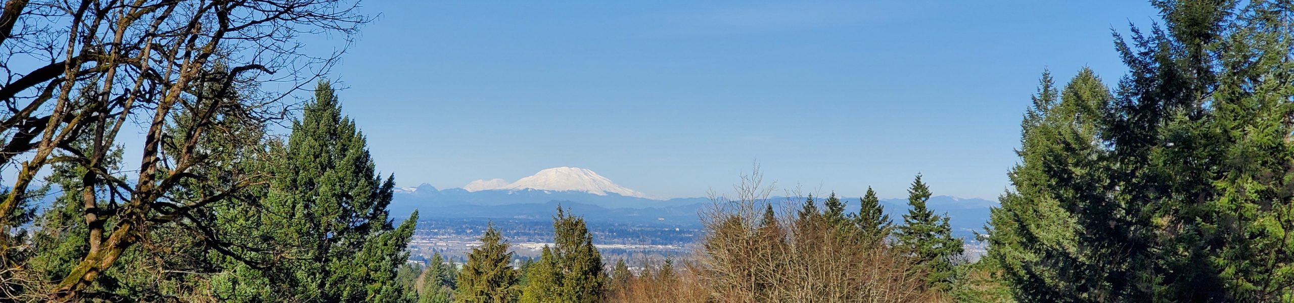 Yoga in Nature (In-Person at Hoyt Arboretum)