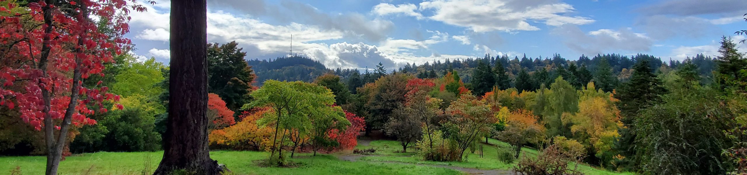 Hoyt Arboretum Family Tour