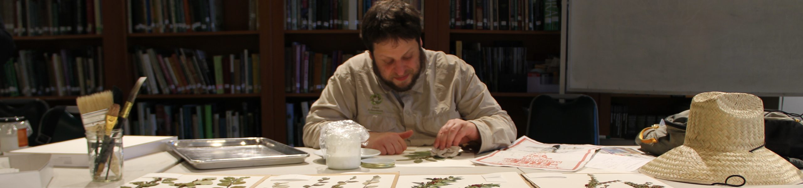 Ask an Expert! How Herbarium Specimens are Made at Hoyt Arboretum…