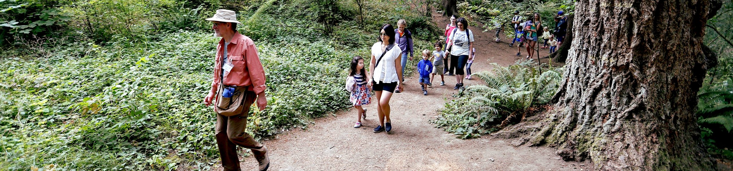 Tree Time! Preschool Walk