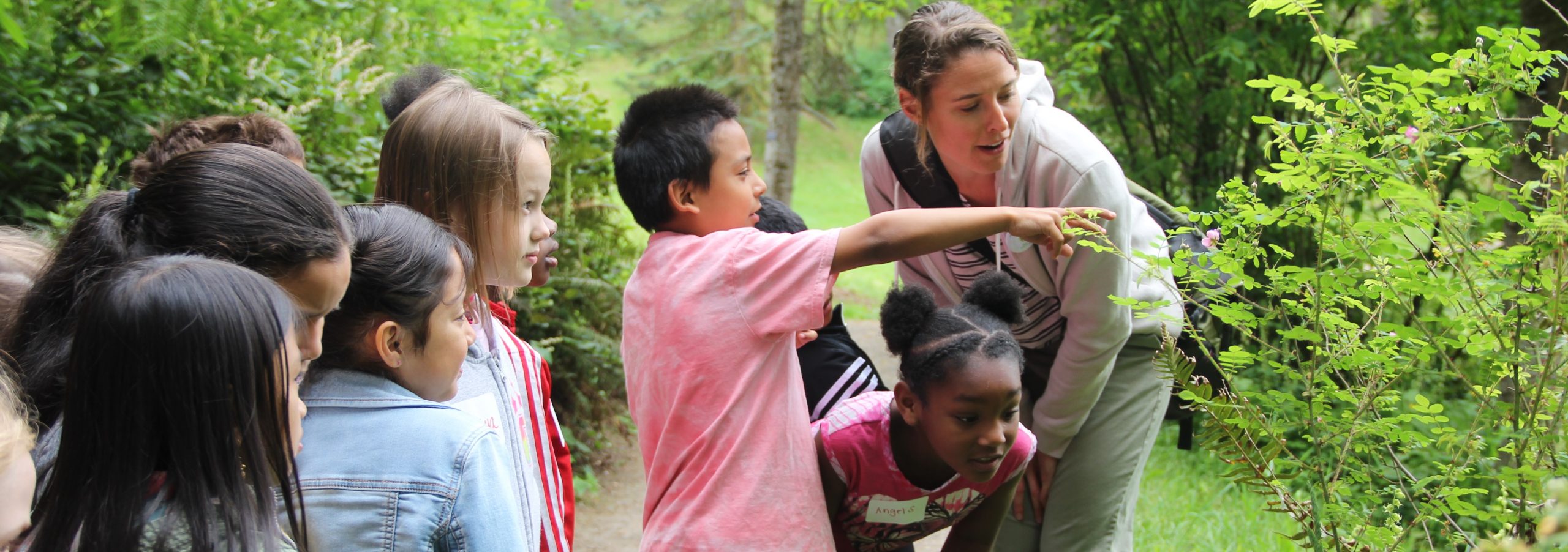 Nature Educator Volunteers – School Field Trip Training