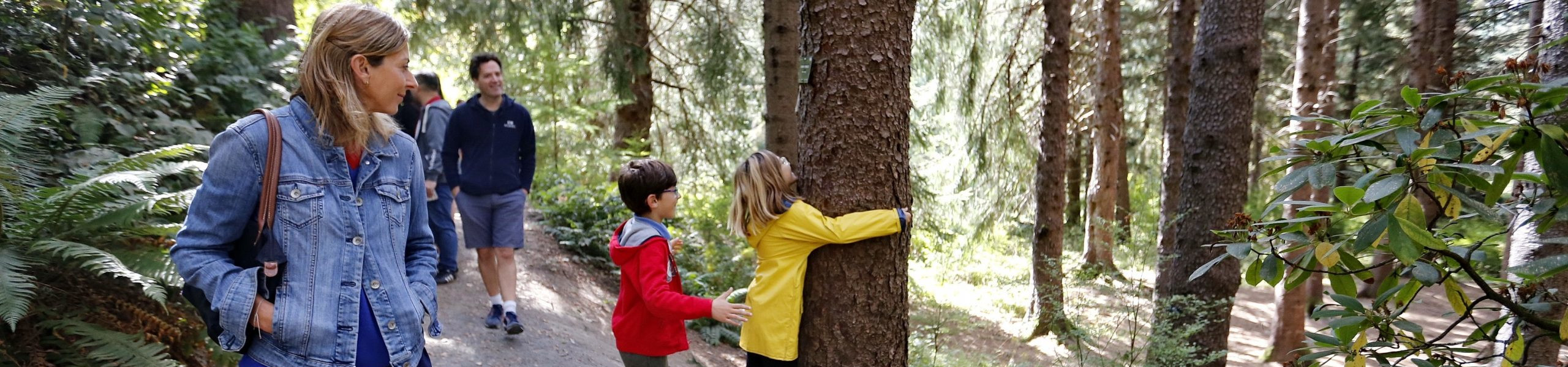 Tree Time! Preschool Walk