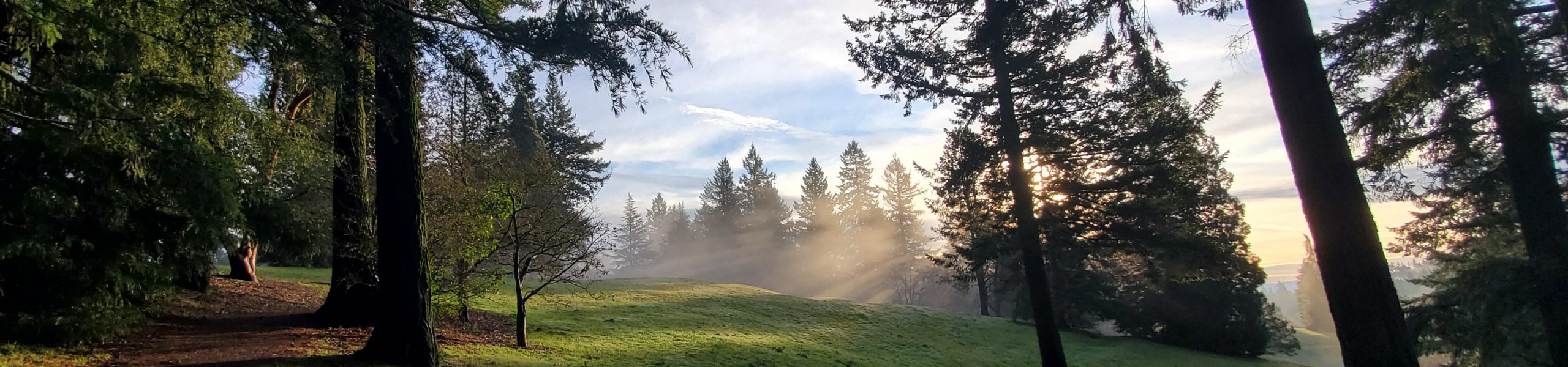 Nature Exploration Wednesdays