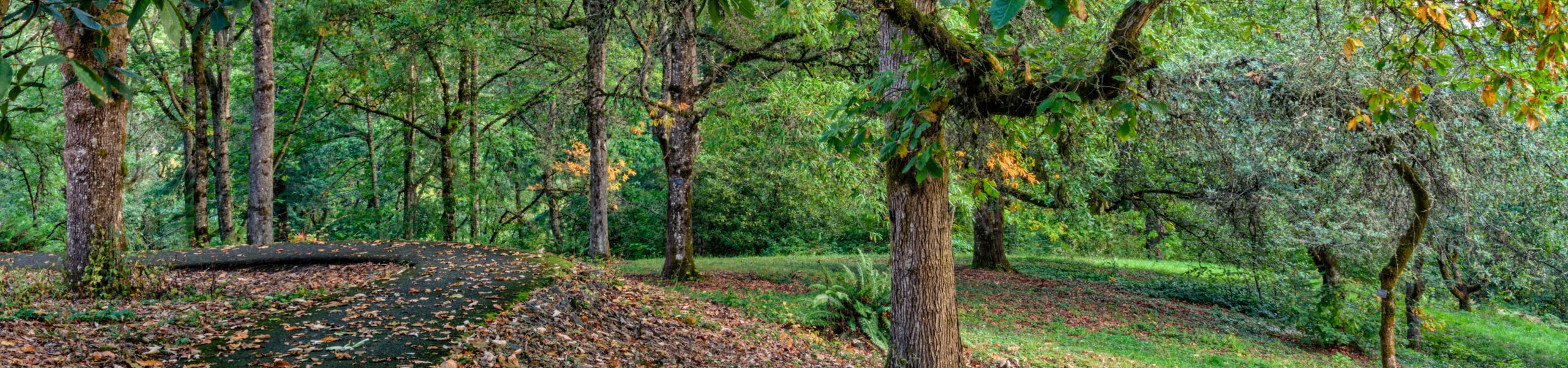 Accessible Paved Trails